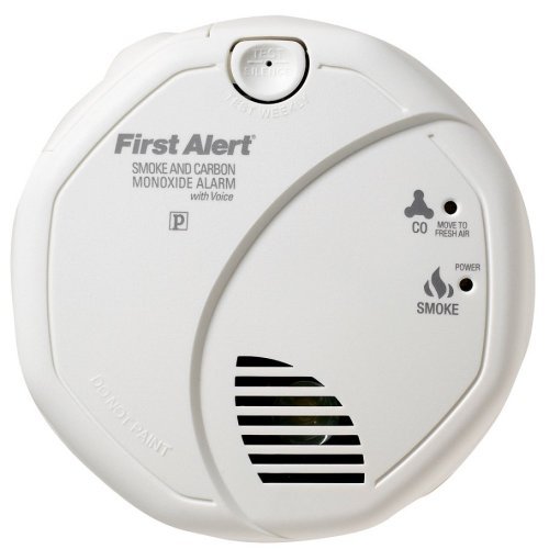 How carbon monoxide can affect your home